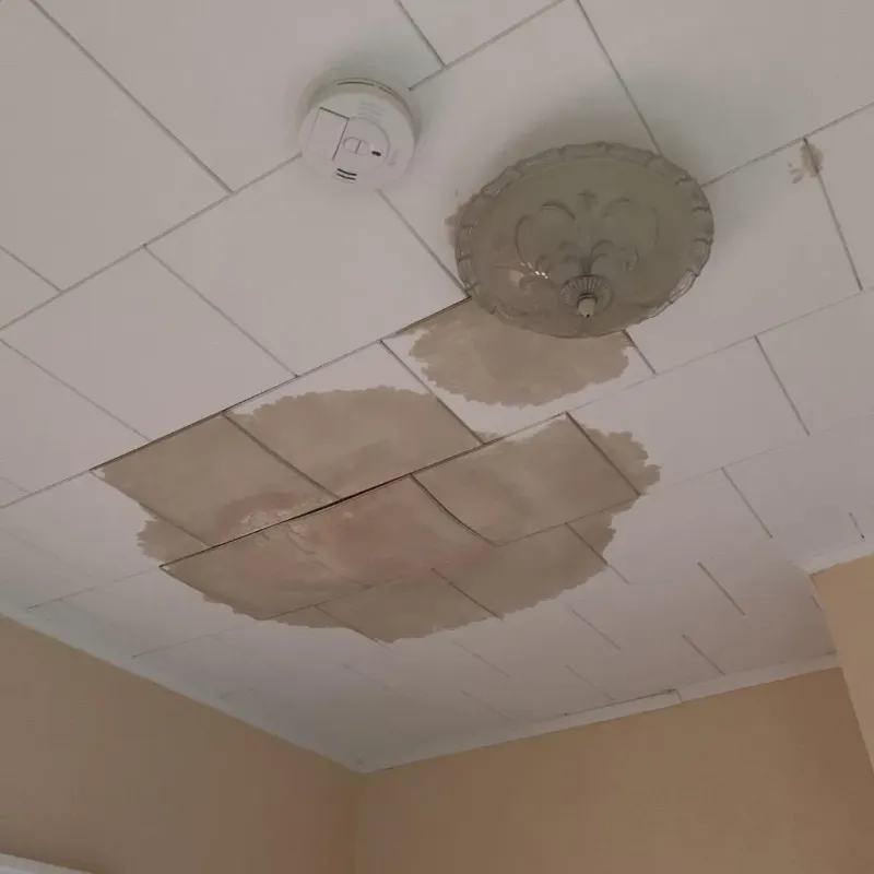 Ceiling Water Damage Repair in Fort Totten, ND