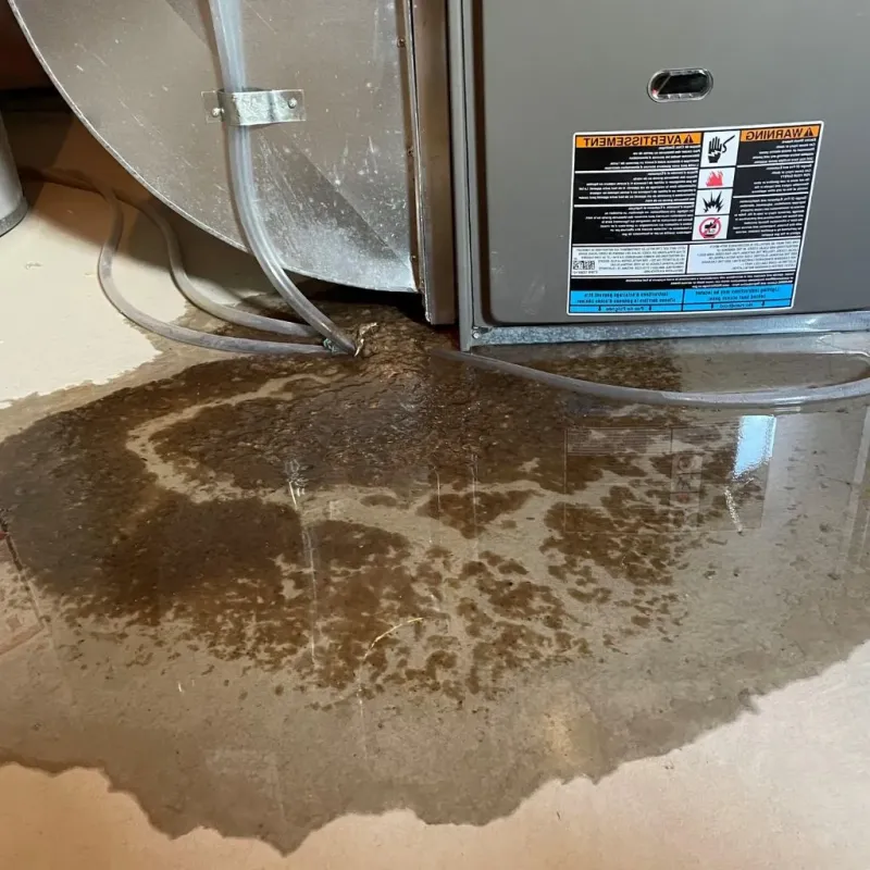 Pipe Burst and Leak Restoration in Fort Totten, ND