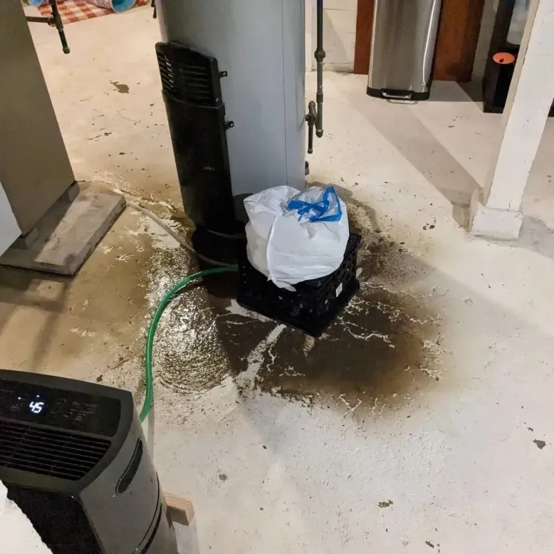 Sewage Backup Cleanup Service in Fort Totten, ND